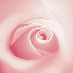 Meet your Posher, Theresa